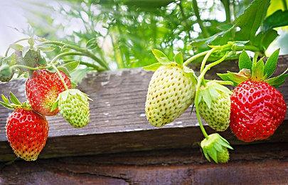 《失落之魂》官方表示已开发完成 8月29日如期发售